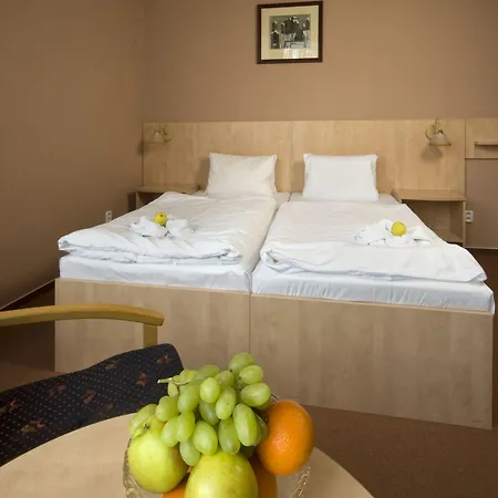 Metropol 3* Frantiskovy Lazne