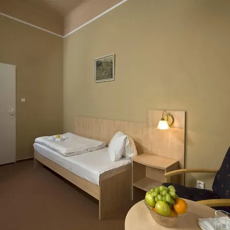 ホテル Metropol Františkovy Lázně