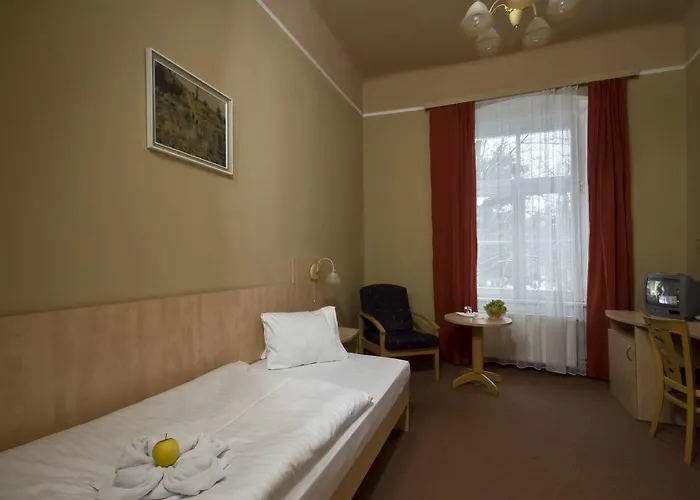 Metropol 3* Františkovy Lázně