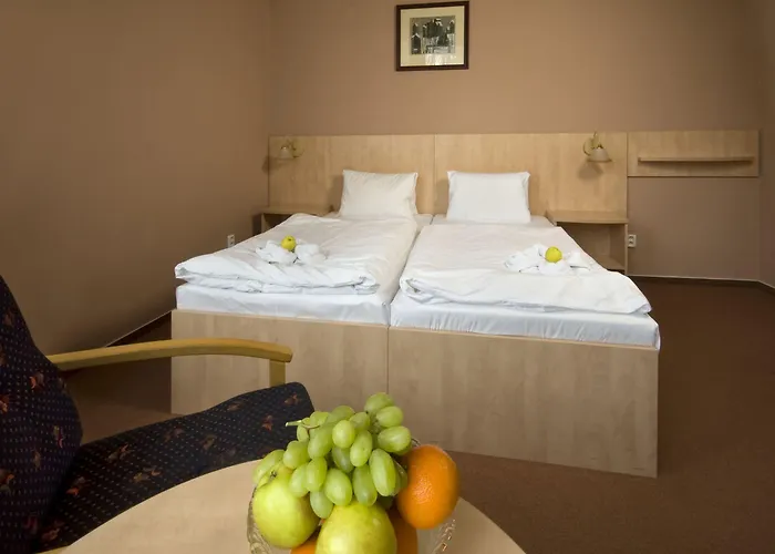 Metropol 3* Františkovy Lázně