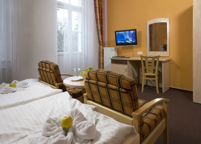 Metropol 3* Františkovy Lázně